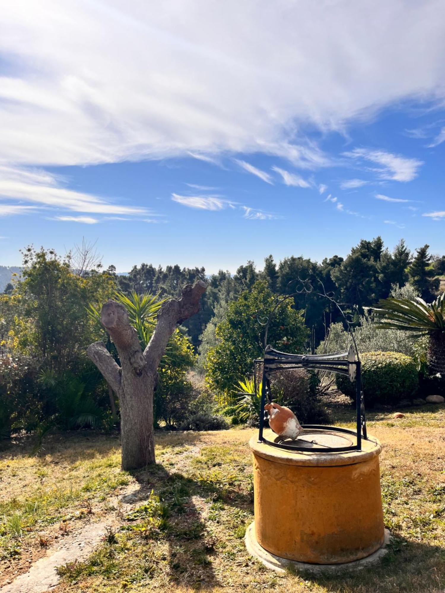 Villa Cultura Elani Halkidiki シビリ エクステリア 写真